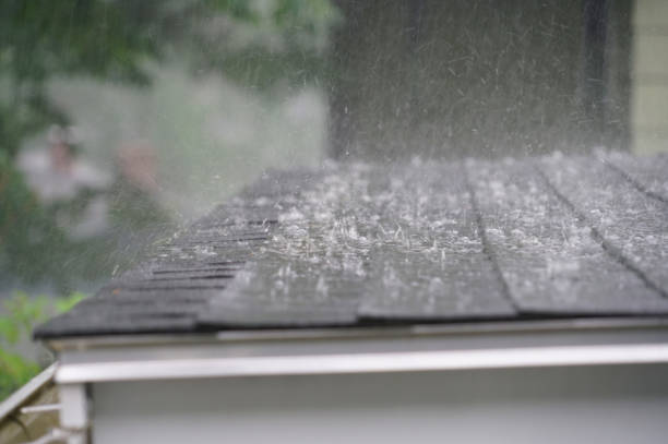 Best Roof Coating and Sealing  in St Maries, ID